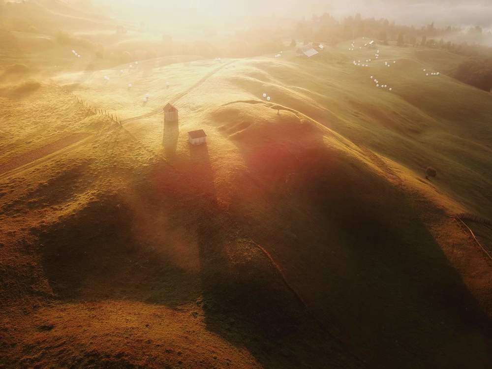 Фотография автора Popescu Cezar Gabriel