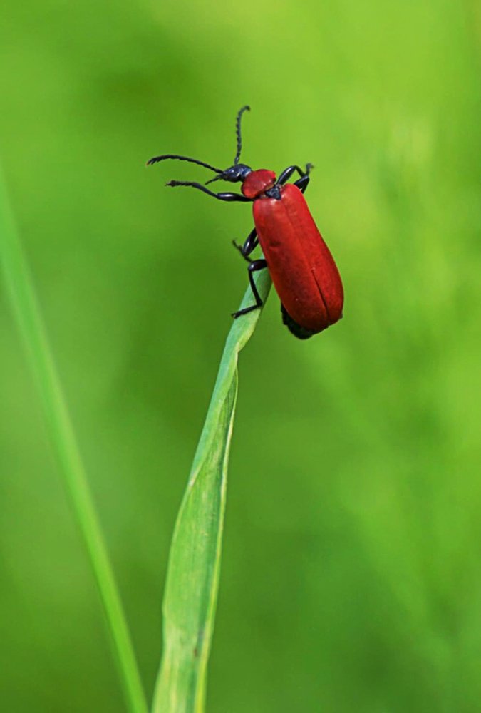 Photograph by Волгина Елена