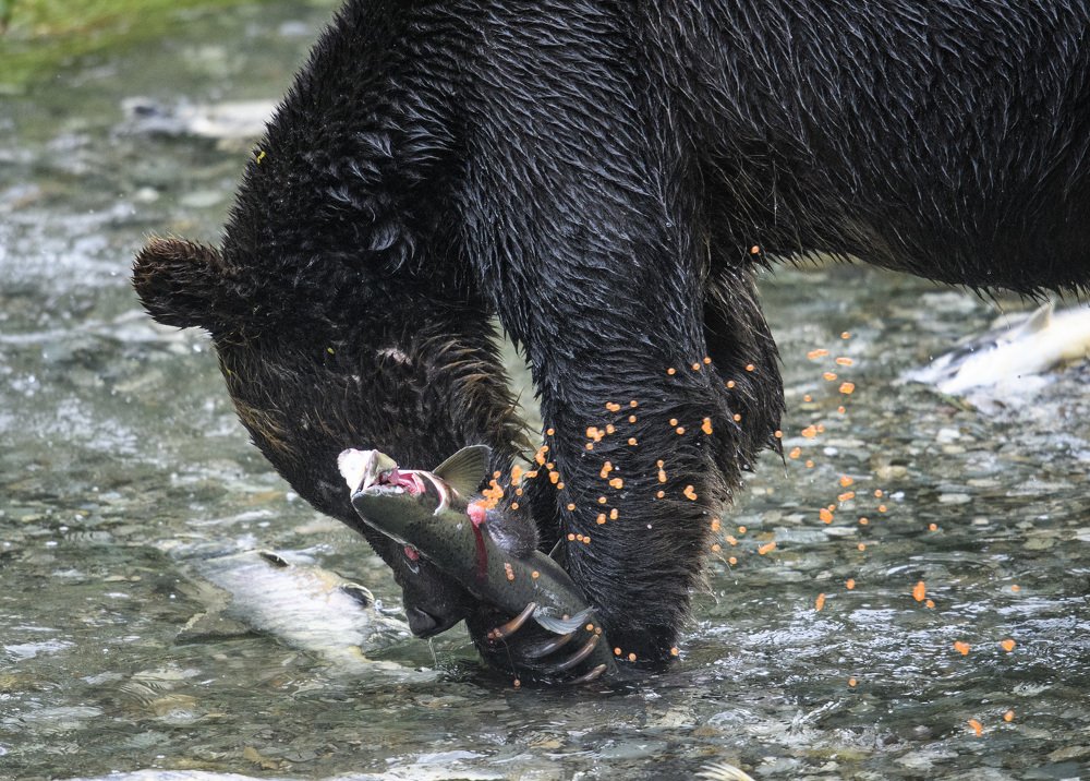 Photograph by Jorn Vangoidtsenhoven