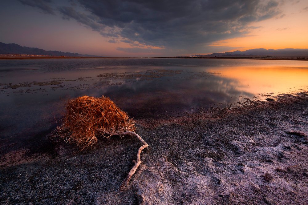 Photograph by 