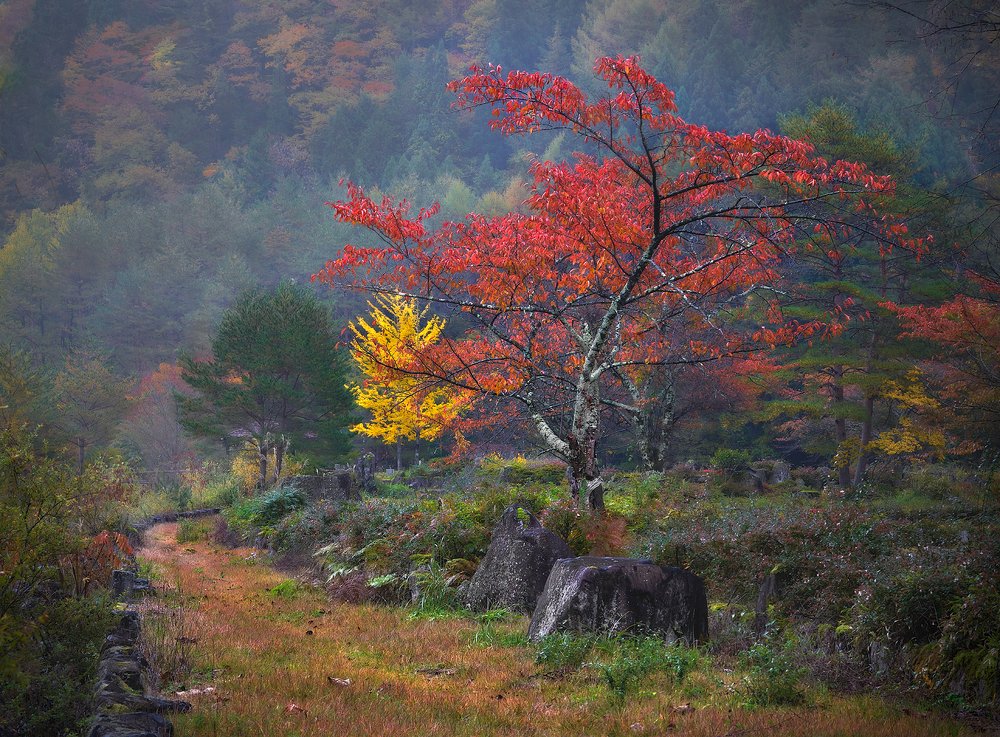 Photograph by 
