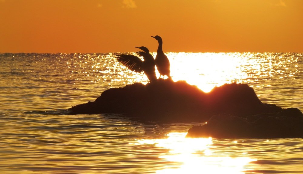 Утро Карадага