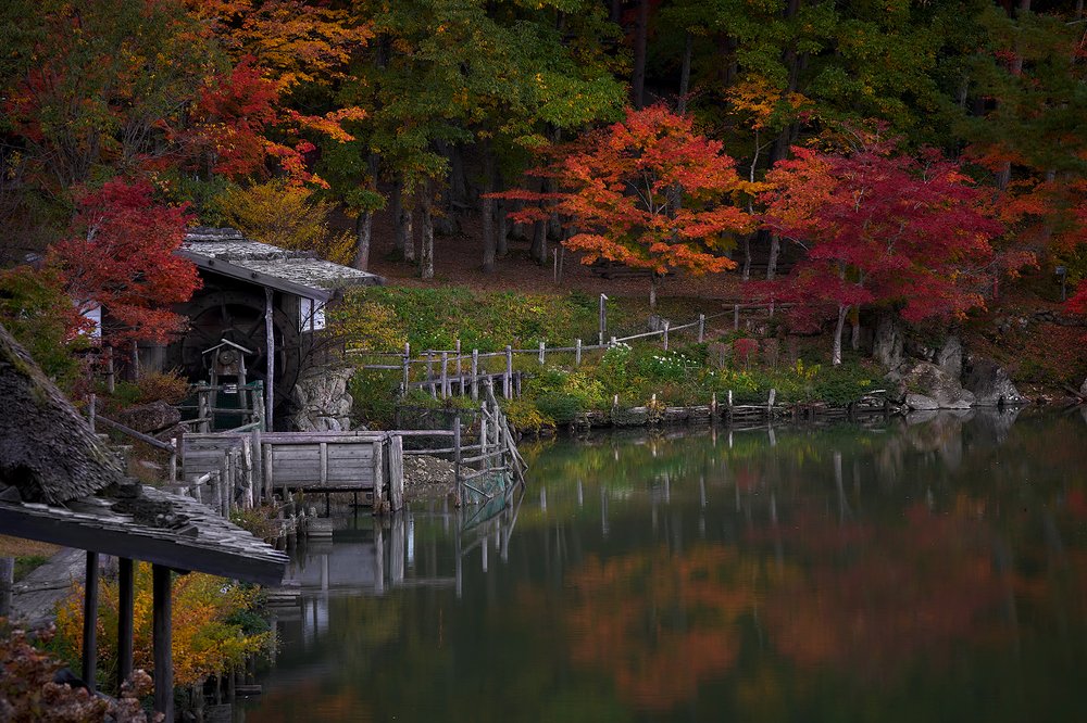 Photograph by 