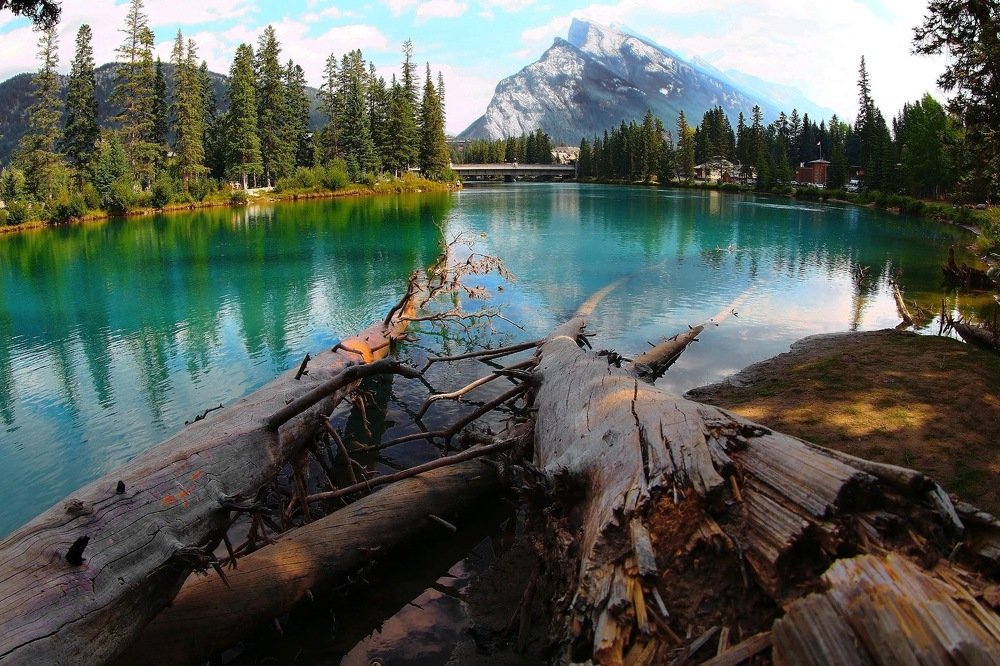 Photograph by Tetyana