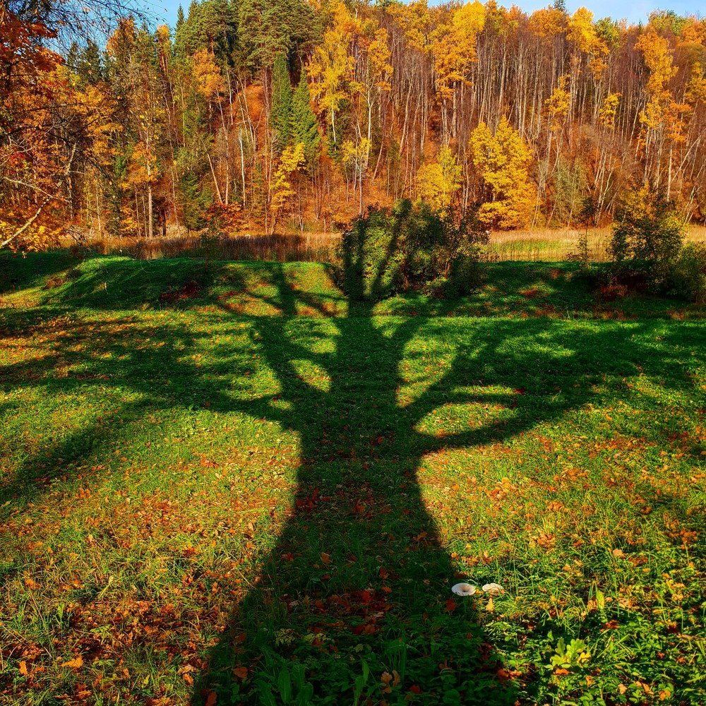 Photograph by Jelena Dzene