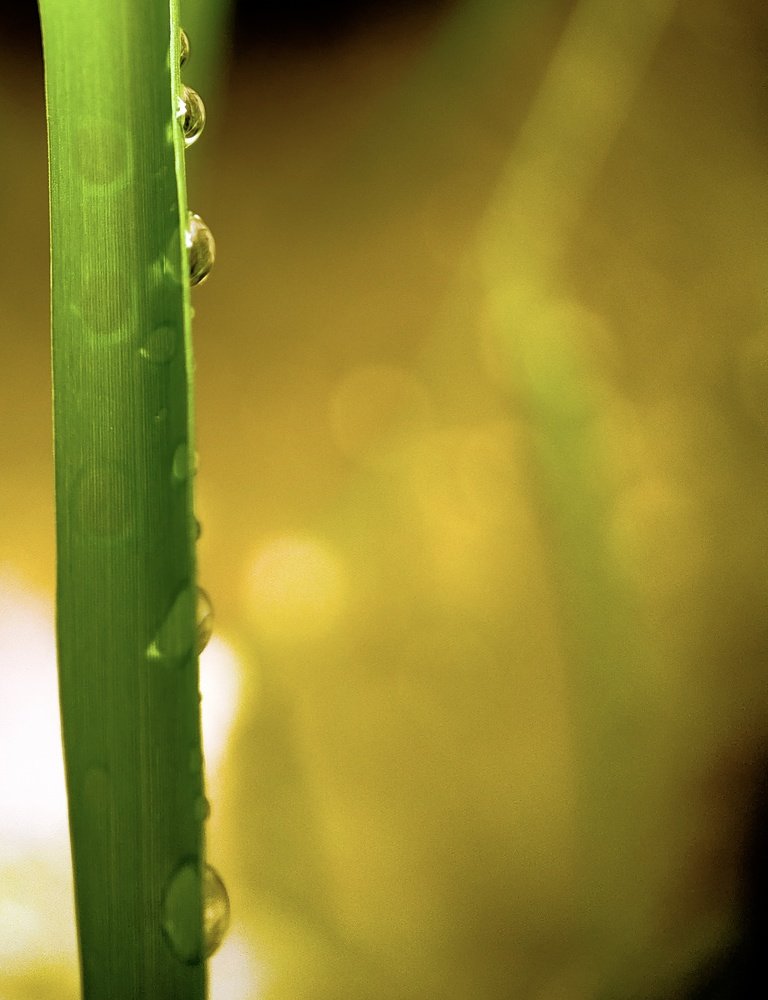 Photograph by Kandarp Mehta