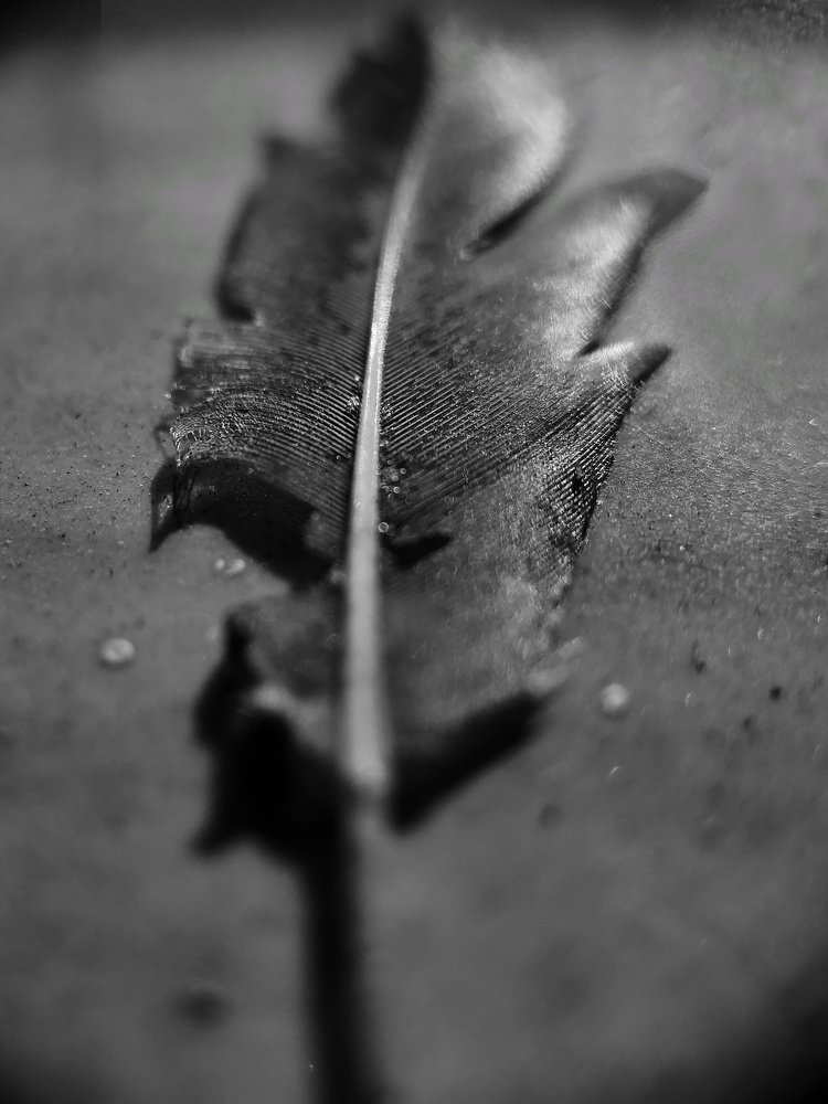 Photograph by Kandarp Mehta