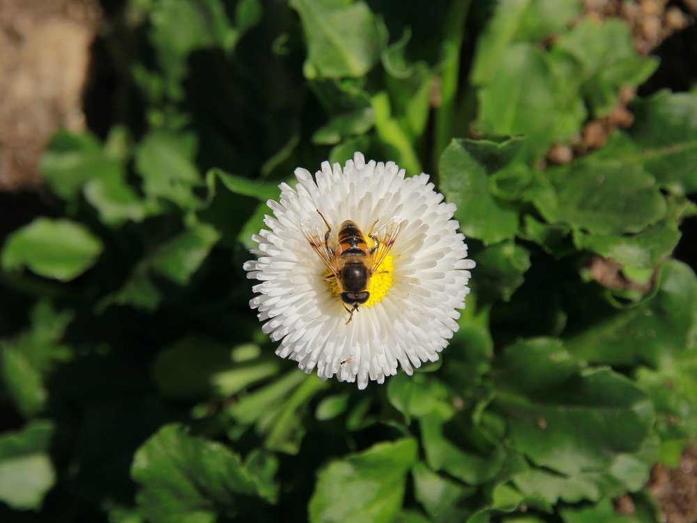 Photograph by Pratik Sagri