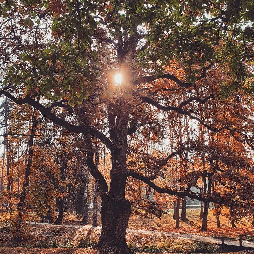 Photograph by Jelena Dzene