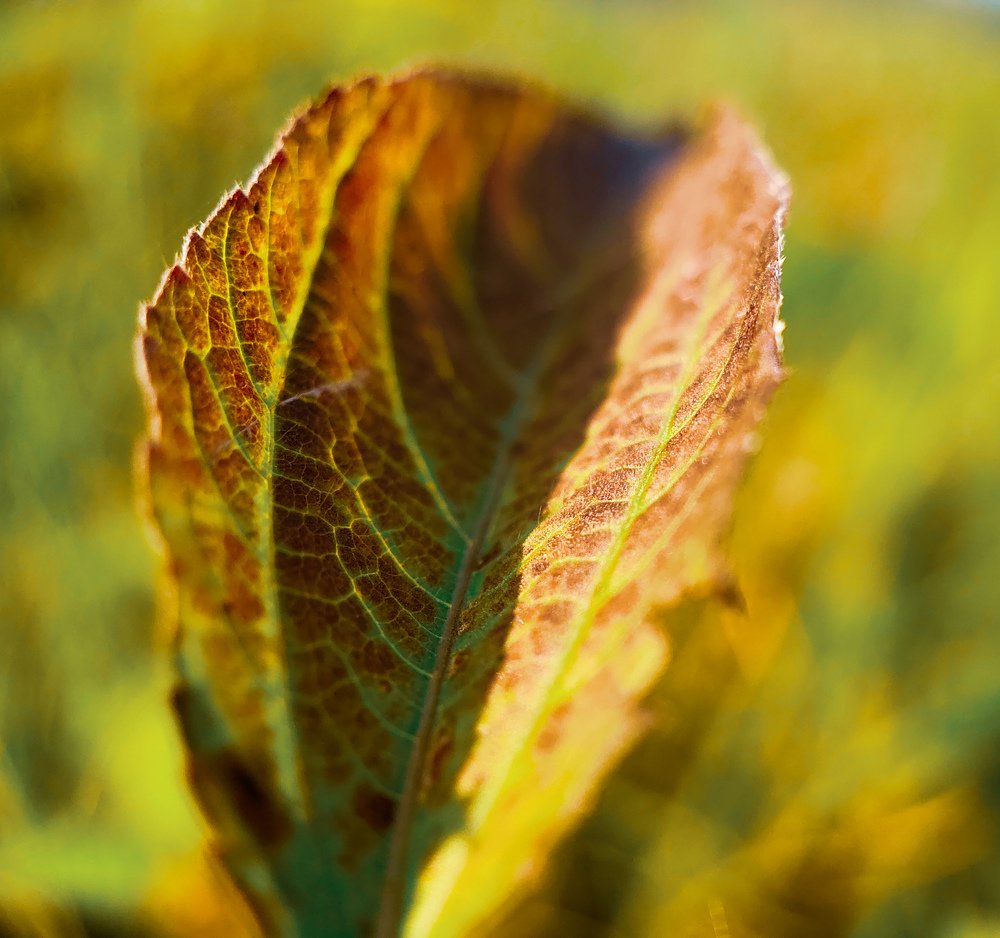 Photograph by Kandarp Mehta