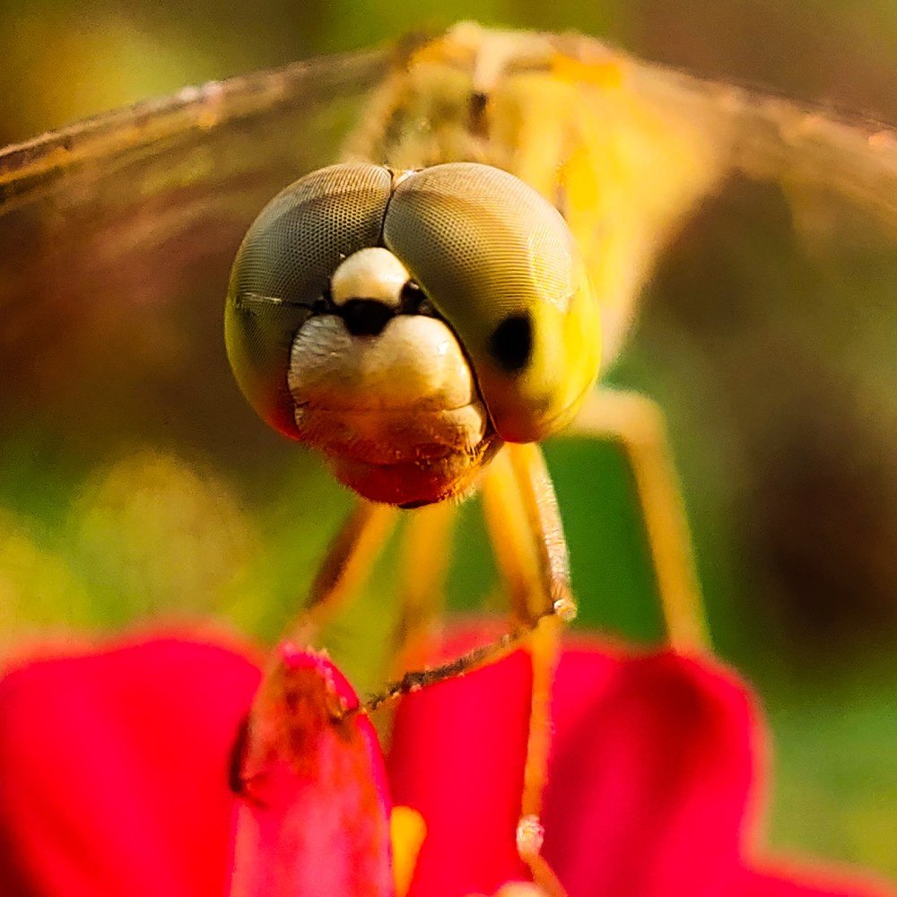 Photograph by Kandarp Mehta
