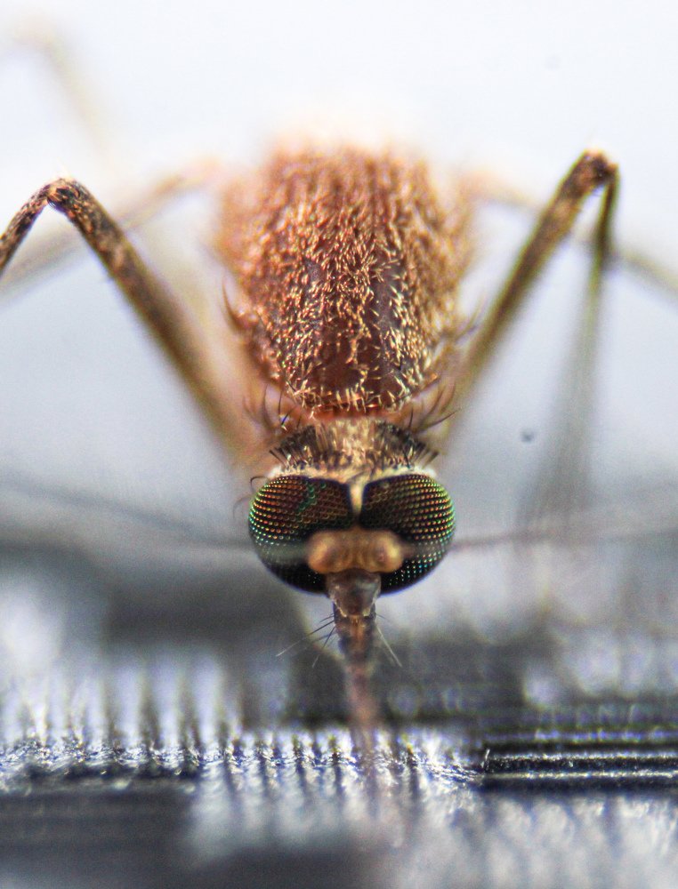 Photograph by Kandarp Mehta