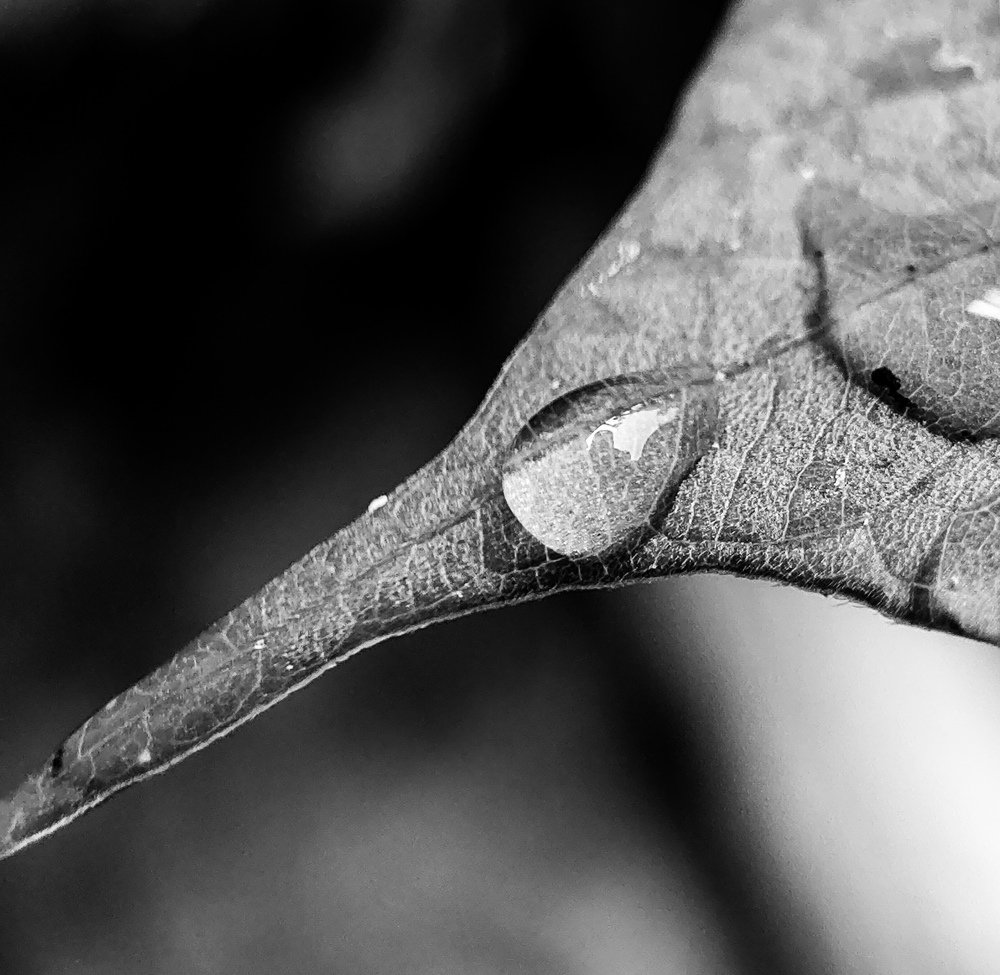 Photograph by Kandarp Mehta