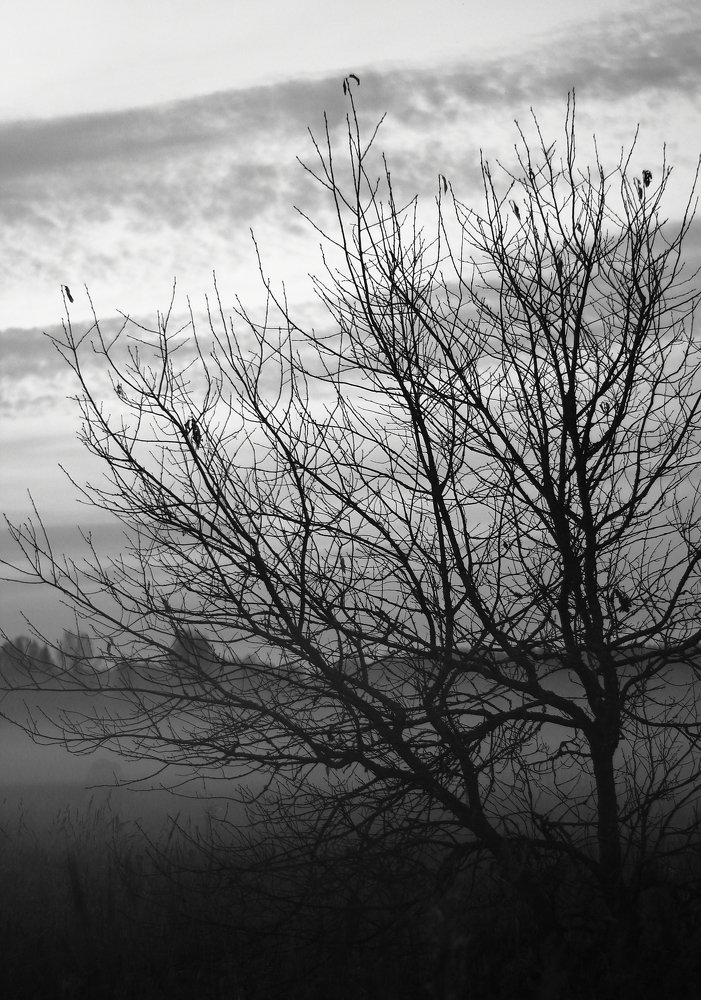 Photograph by Илья Крыжин