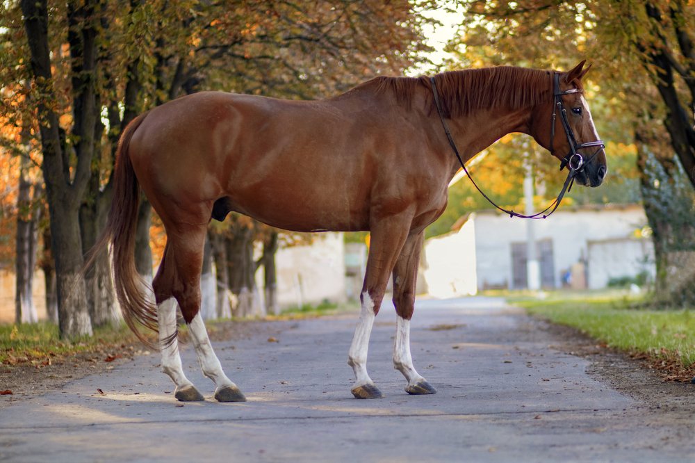 Photograph by Сонетта Саркисян