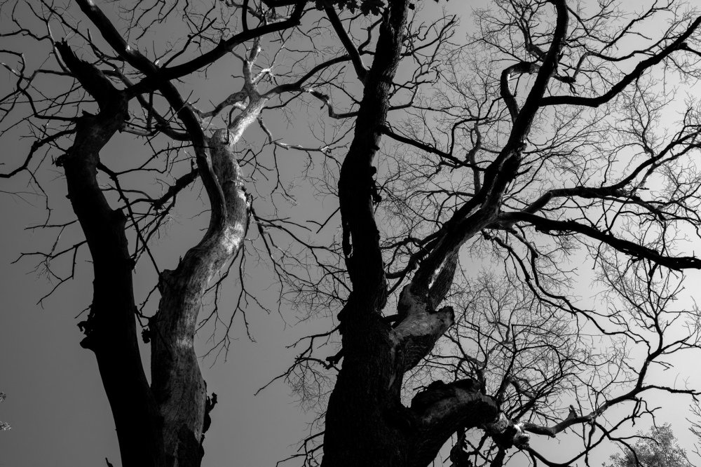 Photograph by Виктор Бунин