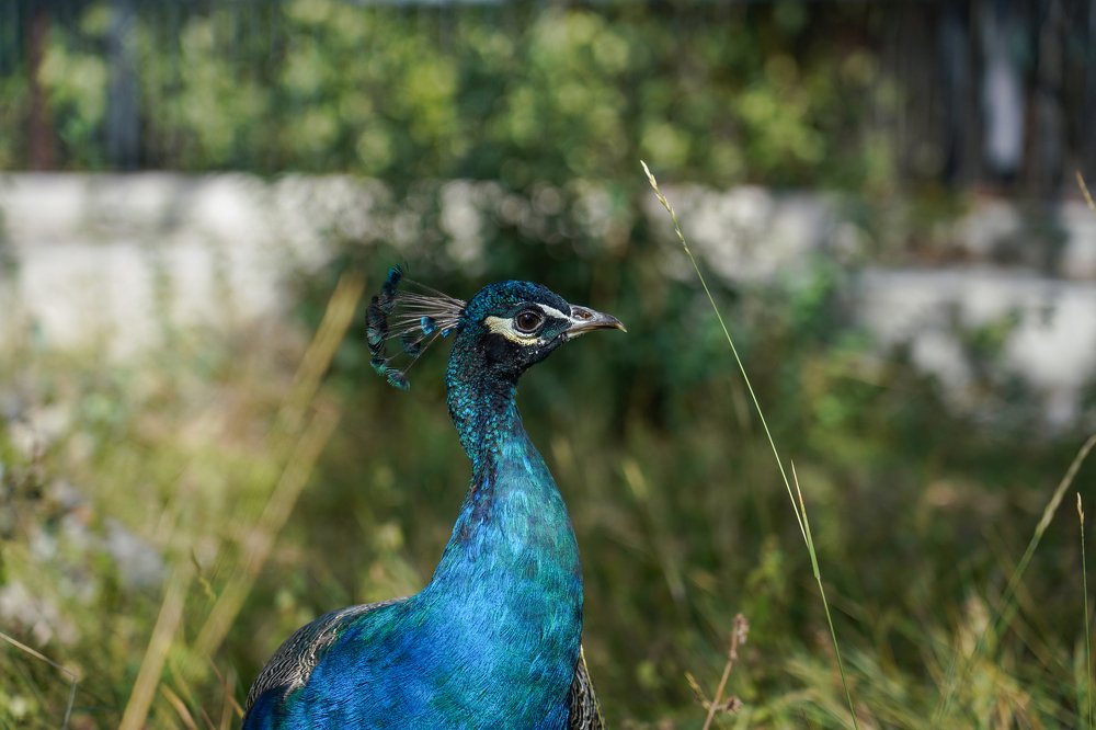 Photograph by Дмитрий Вербицкий