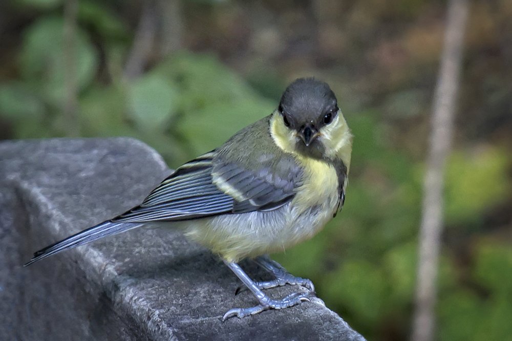 Photograph by Екатерина Рябинина