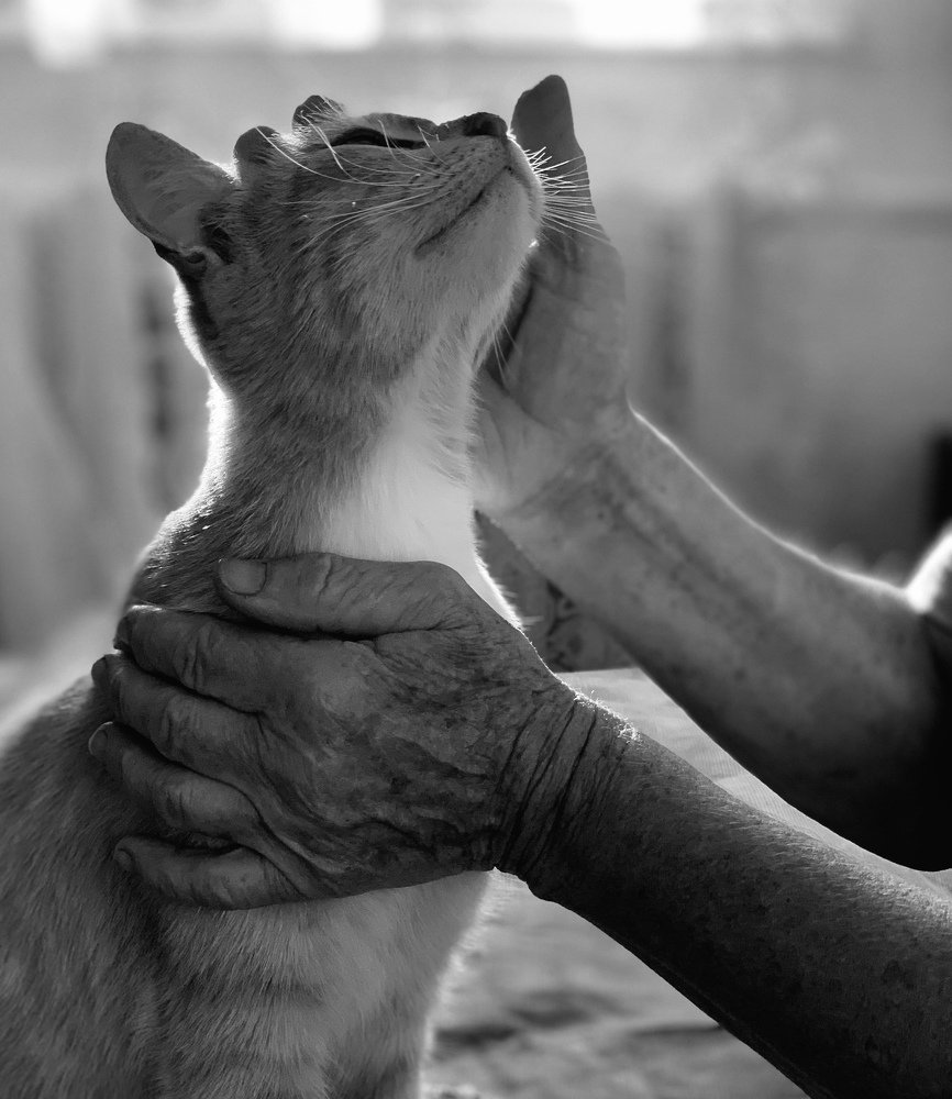 Photograph by Анна Адаменко