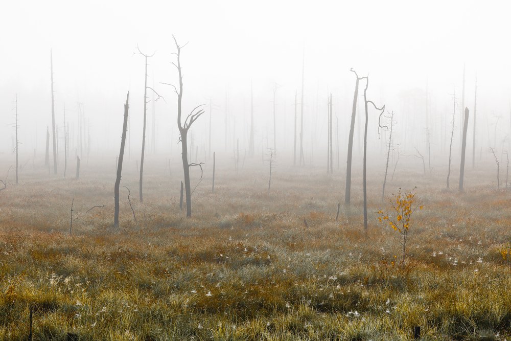 Photograph by Александр Ильин