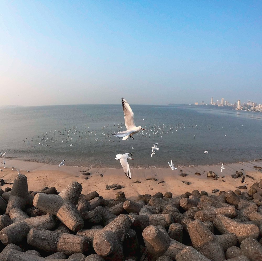 Photograph by Furqan Ahmed Golandaz