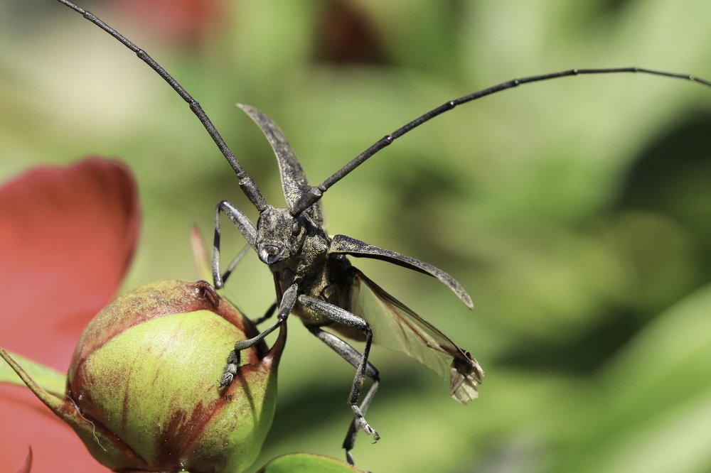 Photograph by Наталья Викарчук