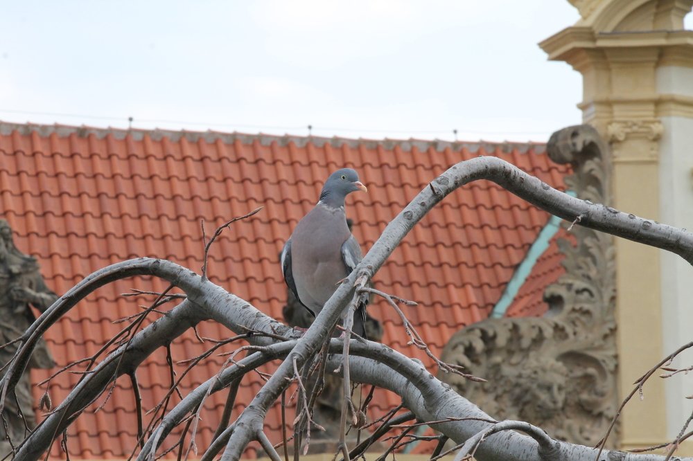 Photograph by Филиппов Олег