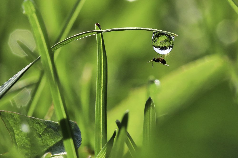 Photograph by Наталья Викарчук