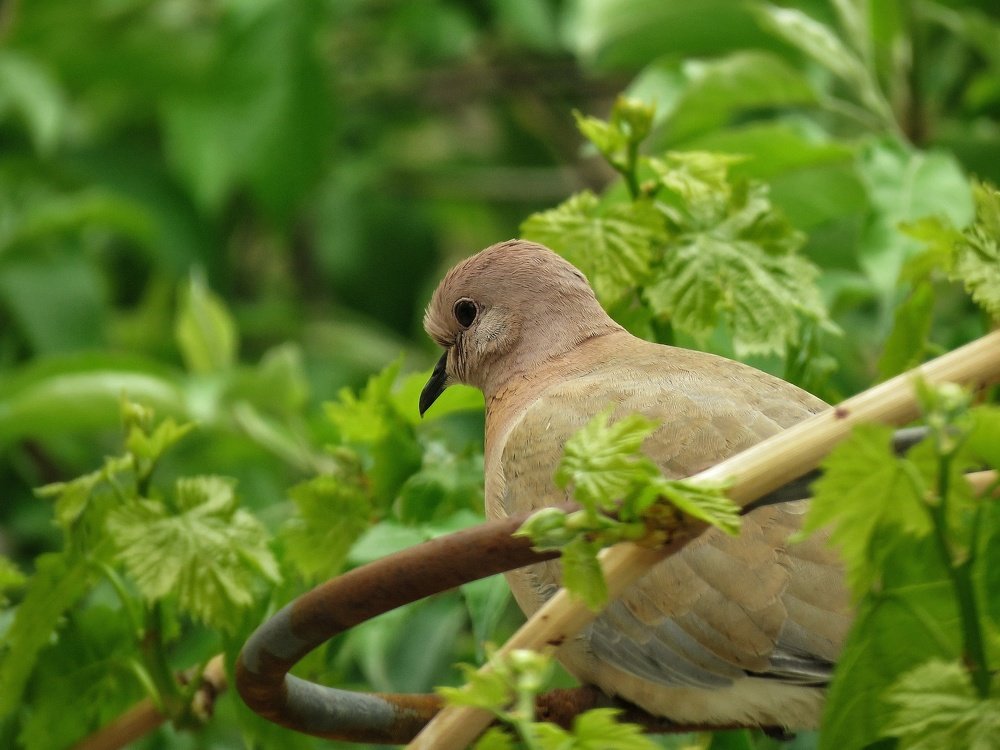 Photograph by Bahrami Ashkan
