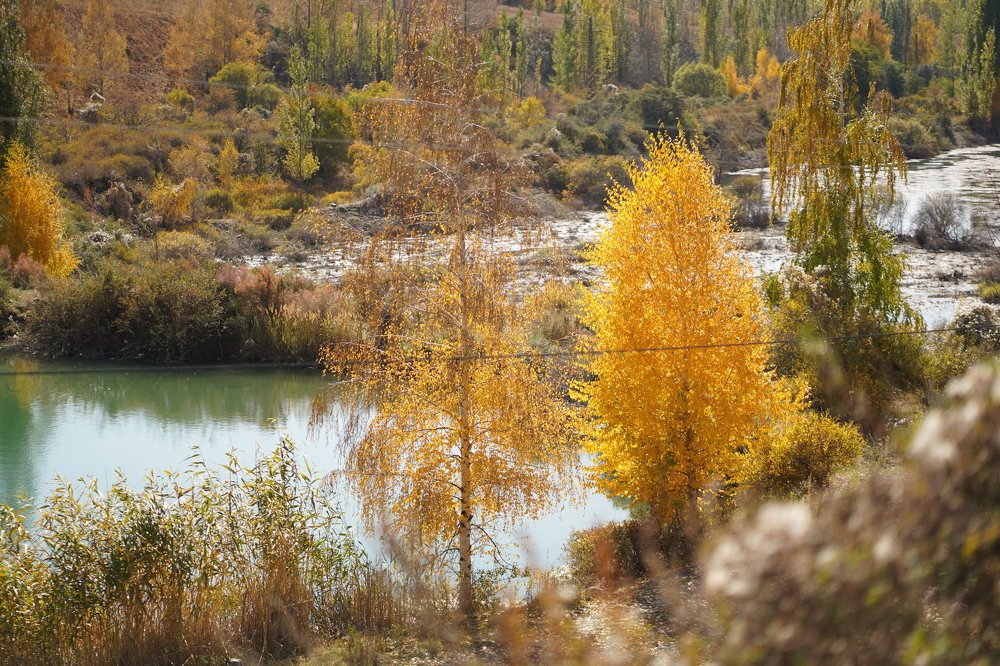 Фотография автора Sherry Igam