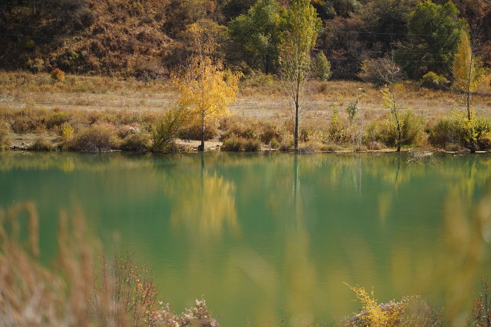 Фотография автора Sherry Igam