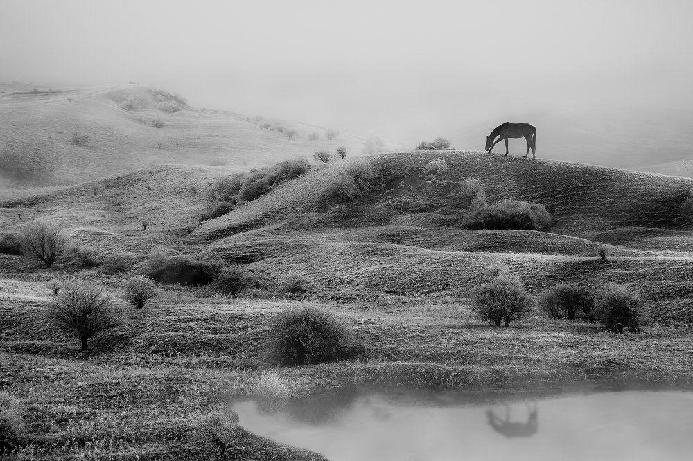 Photograph by dan andrei