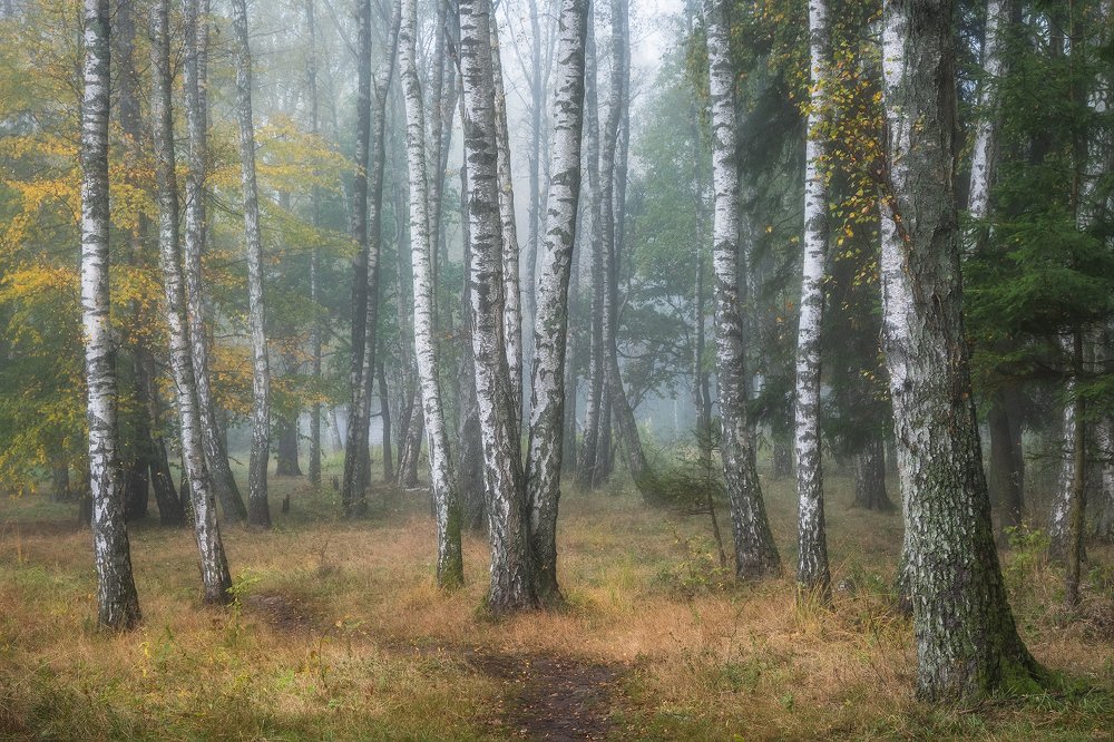 Photograph by Валерий Притченко