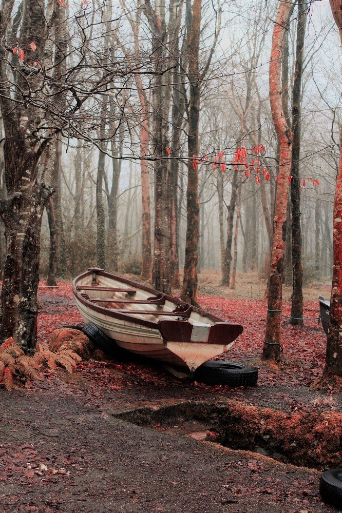 Photograph by Avril Glavin