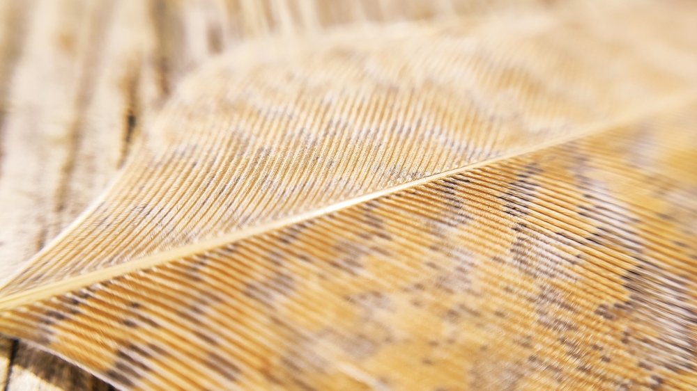 Фотография автора Станислав Ермолин