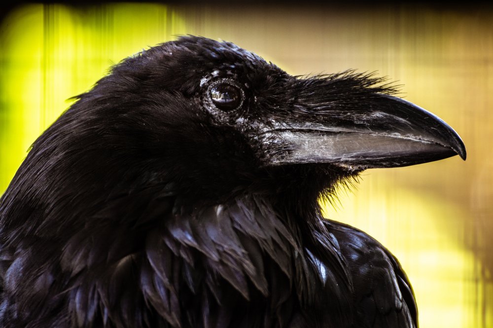 Photograph by Juraj Šulek