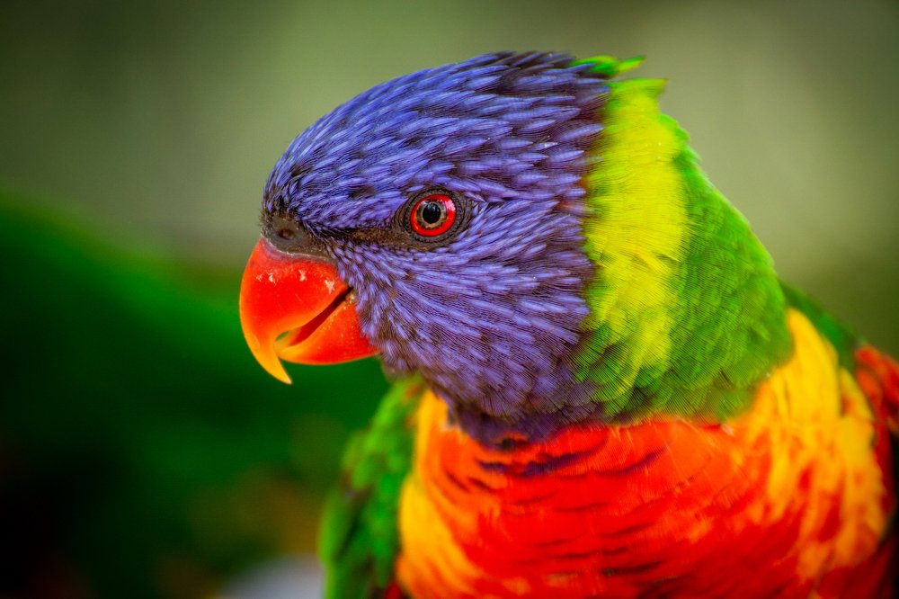 Photograph by Juraj Šulek