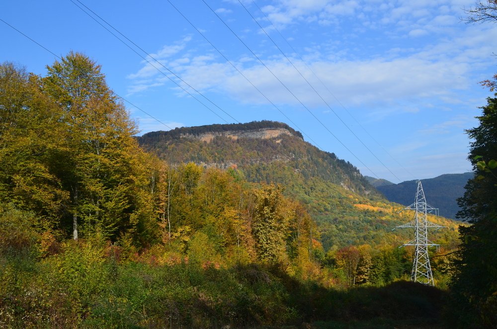 Photograph by Владимир Караман