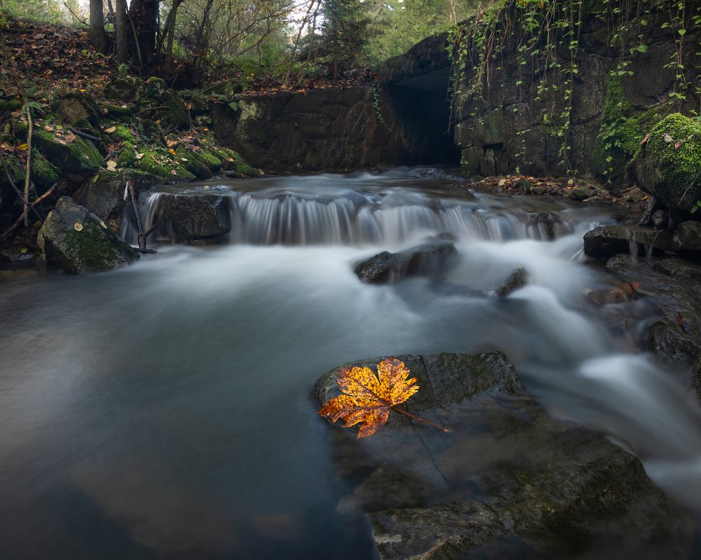 Photograph by Filip Micunda