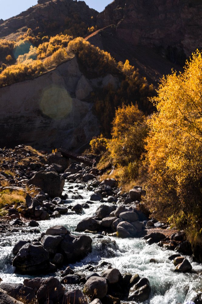 Photograph by Маргарита Таценко