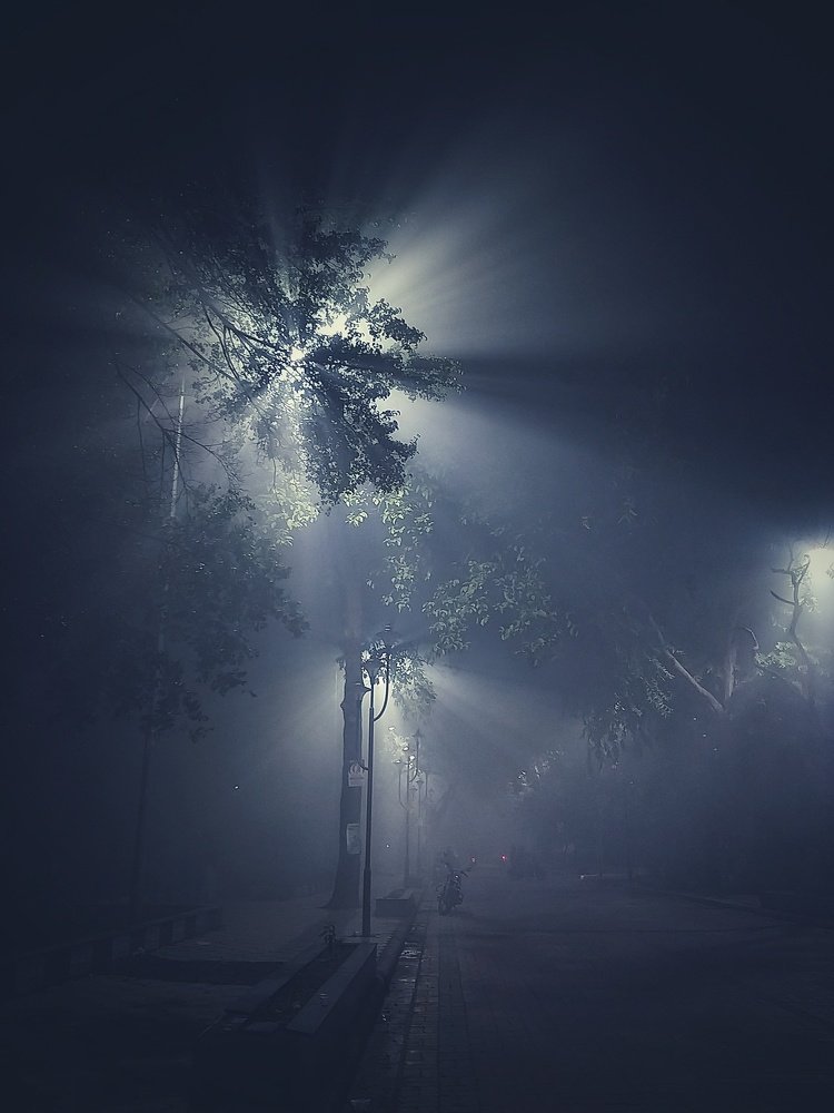 Photograph by Anupam Mukherjee