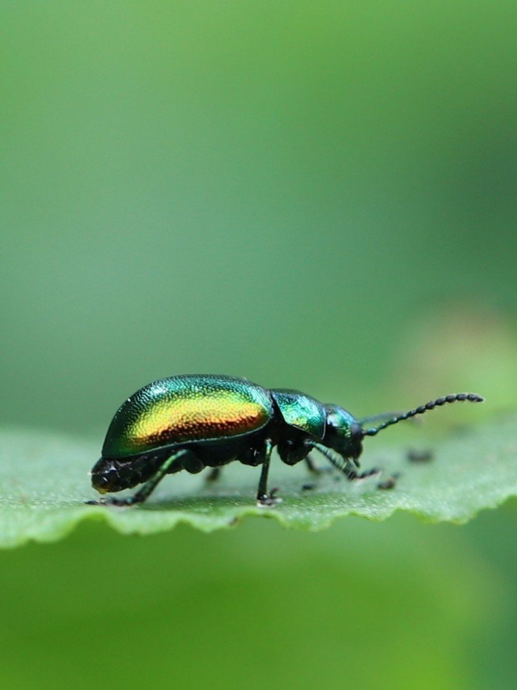 Photograph by Ирина Корабельникова