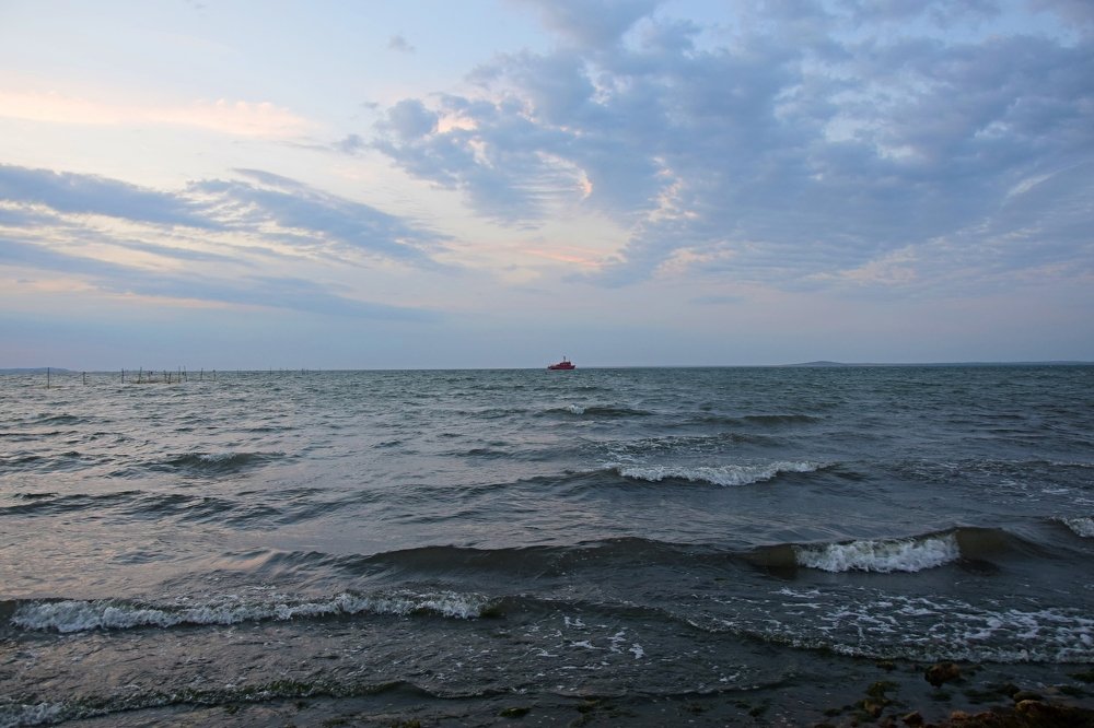 Фотография автора Альбина Хвастунова