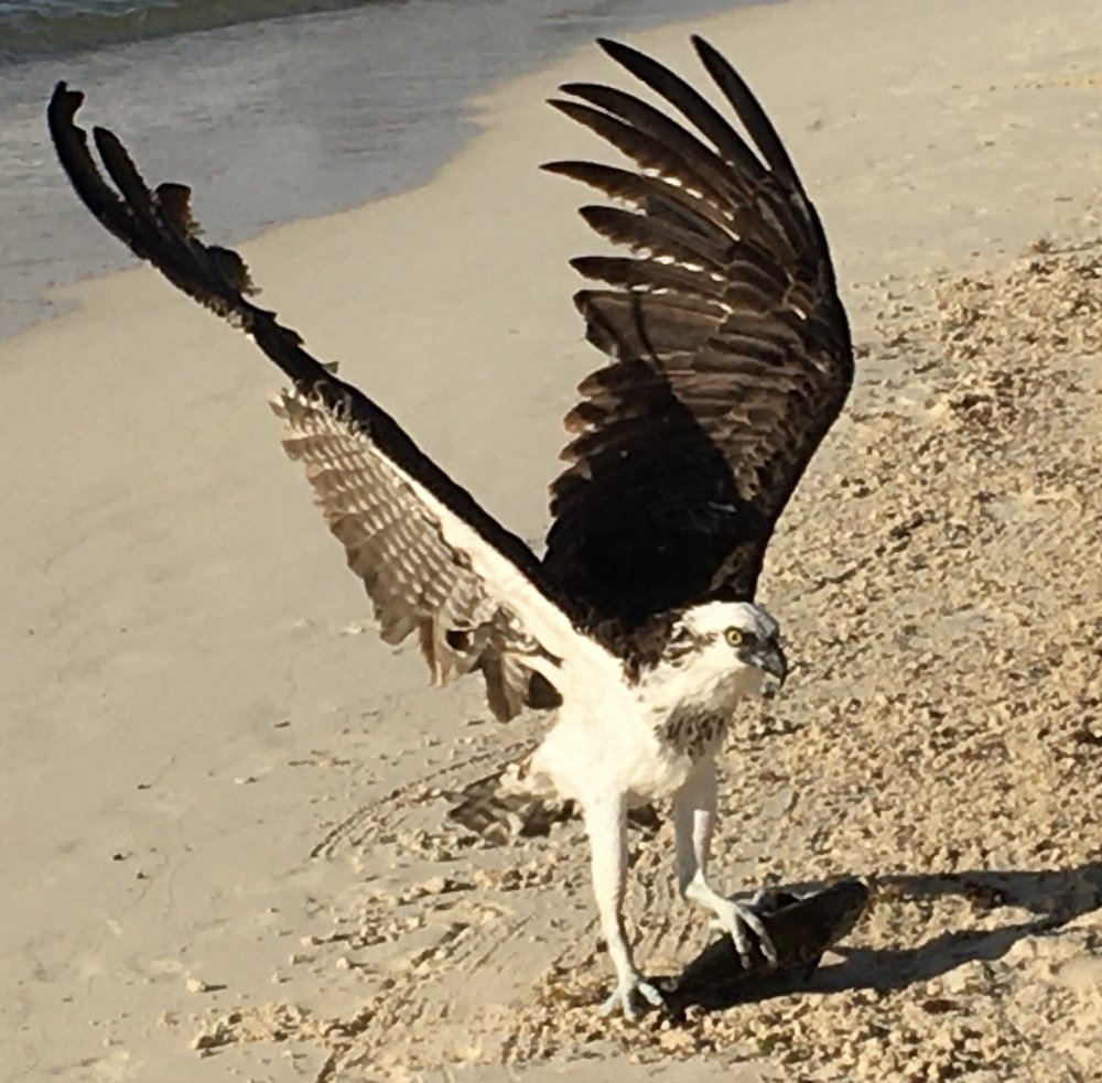 Photograph by Bárbara Iglesias