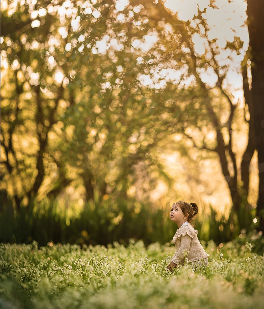 Photograph by Juliana Contreras