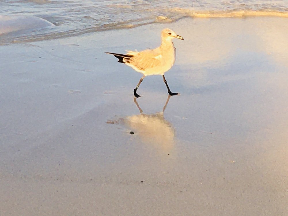 Photograph by Bárbara Iglesias