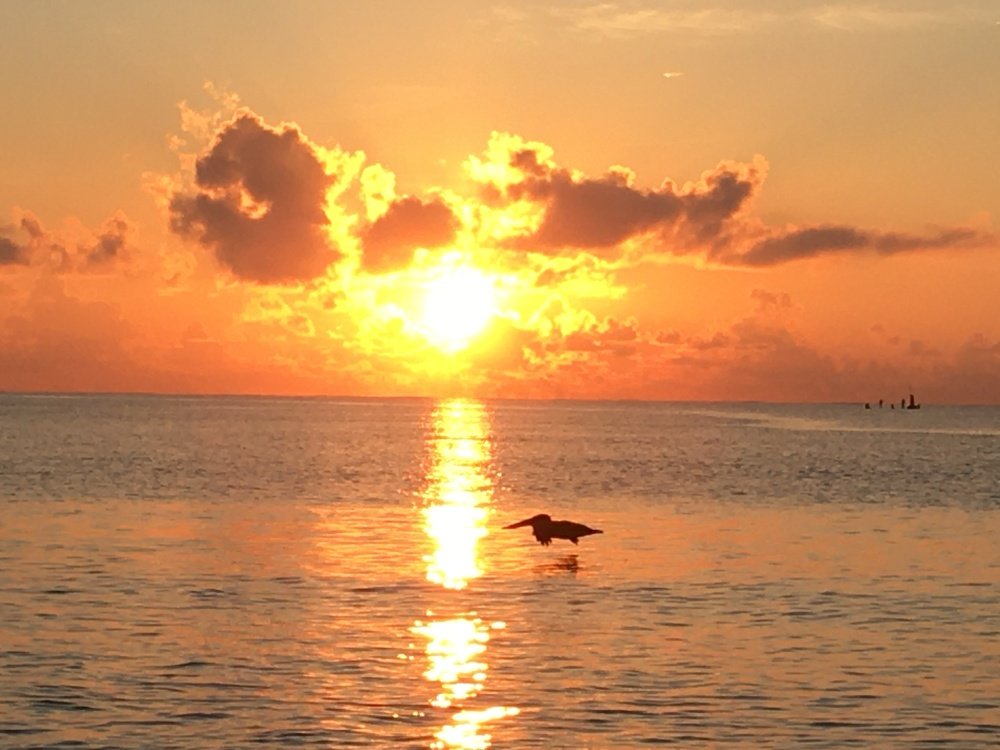 Photograph by Bárbara Iglesias