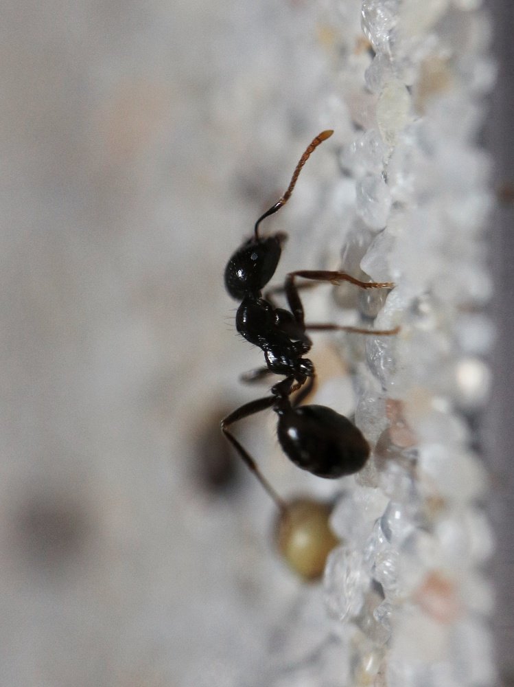 Photograph by Ирина Корабельникова