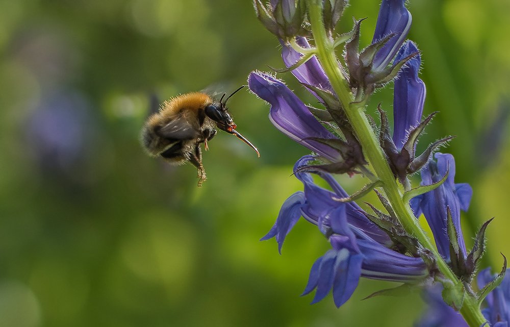 Photograph by Юлия Ершова