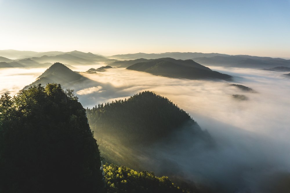 Photograph by Dominik Mach